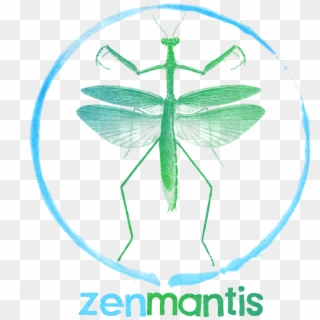 Zen Mantis Photography - Net-winged Insects Clipart