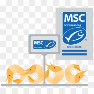 Fresh Fish Counters Labelling With Poster - Marine Stewardship Council Clipart
