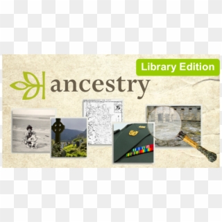 Learn To Use Ancestry - Ancestry Dna Websites Clipart