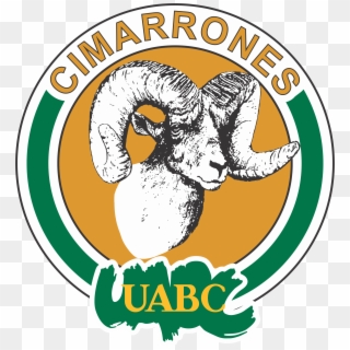 Logo Cimarrones Uabc Reconstruido - Autonomous University Of Baja California Clipart