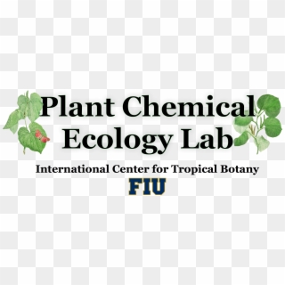 Plant Chemical Ecology At Fiu - Florida International University Clipart