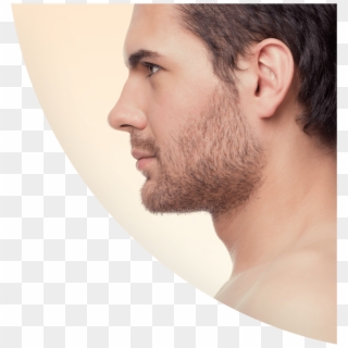 Face Proceedures - Perfect Male Nose Side Profile Clipart