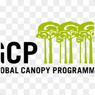 Can Companies Achieve Zero Deforestation In Their Supply - Global Canopy Programme Clipart