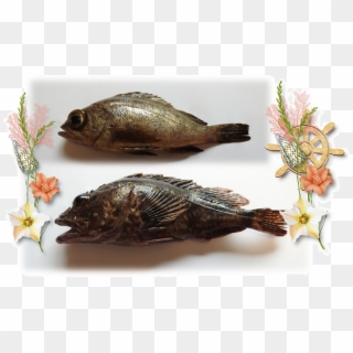 I Thought I'd Show You "cooked Fish" Clipart