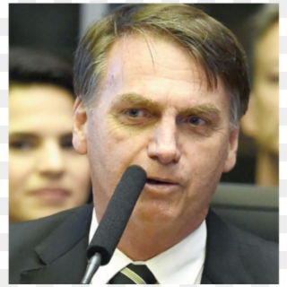 Bolsonaro Com A Constituição Clipart