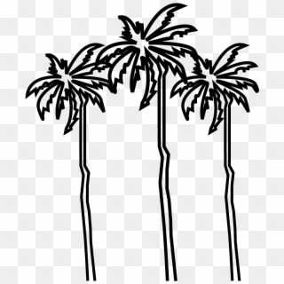 Guadeloupe Palm Trees - Illustration Clipart