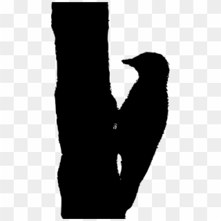 Woodpecker Drawing Black And White Bird Sparrow - Silhouette Clipart