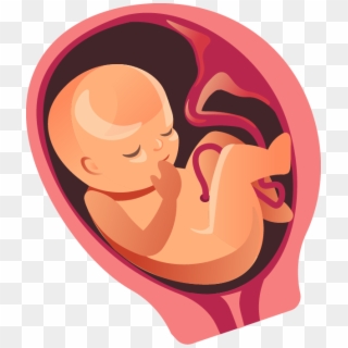 There's Less Movement Now Because He/she Is Filling - Baby Kicking In Womb Transparent Clipart