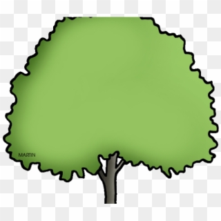 Tree Clipart Clipart Elm Tree - Clip Art - Png Download