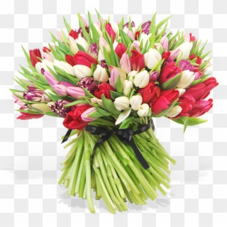 200 British Tulips - Bouquet Clipart