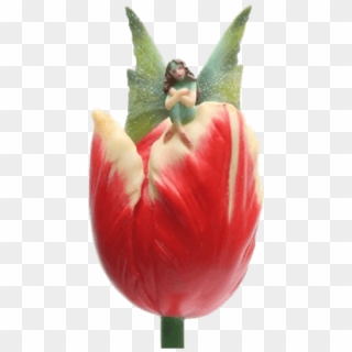 Price Match Policy - Tulip Clipart
