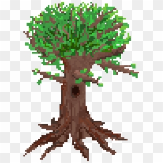 Tree - Elm Clipart