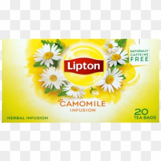 Chamomile Lipton Tea Clipart