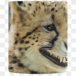 Cheetah Clipart