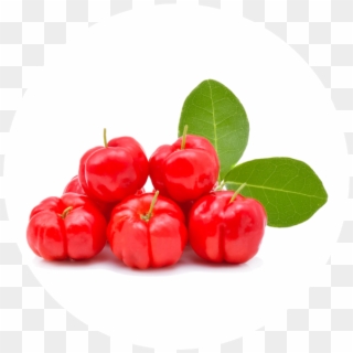 Acerola - Frutas - Acerola Fruit Clipart