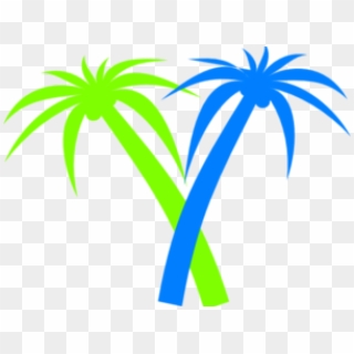 Hd Palm Tree Clipart Png Transparent Png