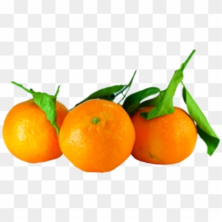 All Posts Tagged In - Tangerines Png Clipart