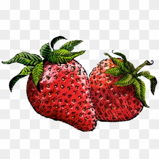 Strawberry Drawing Png - Siggi's Strawberry Clipart