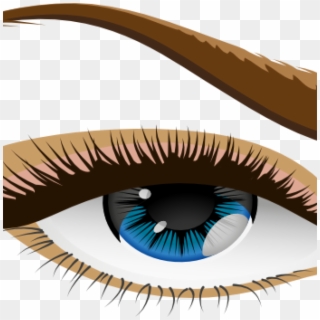 Human Eye Clip Art Free Clipart Download Rh Thelockinmovie - Eyebrow - Png Download