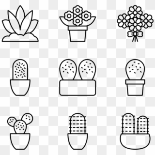 Plants Clipart