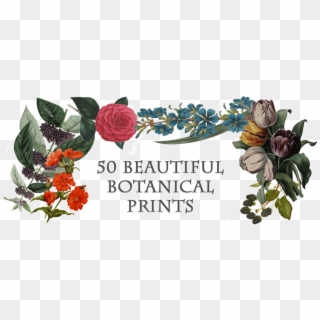 Beautiful Botanical Prints - Botanical Prints Png Clipart