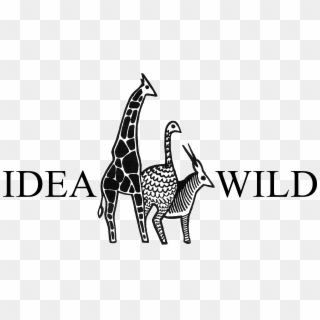 Idea Wild Logo Can Be Found Below As Jpeg, Gif Or Png - Idea Wild Clipart