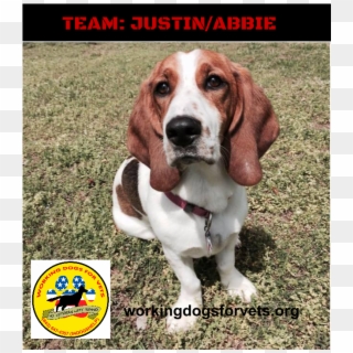 Team - Justin/abbie - Beagle Clipart
