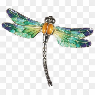 Dragonfly Png Clipart
