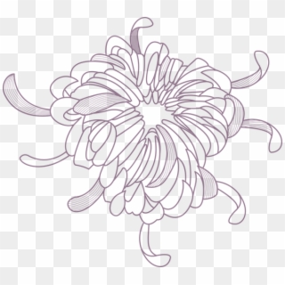 Flower Outline - Sunflower Clipart