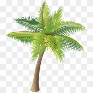 Material Coconut Vector Tree Icon Hd Image Free Png - Palm Tree Vector Png Clipart