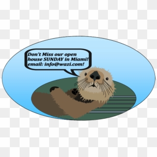 Otter Offer For Open House Miami Wp Float - Punxsutawney Phil Clipart