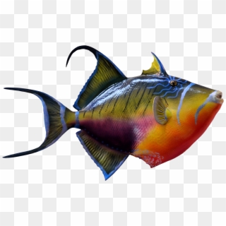 Png Fish Clipart
