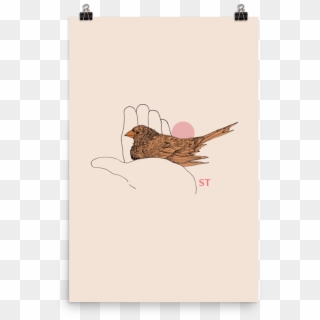 Brown Thrasher Clipart