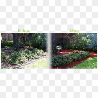Lawnserve Of Ar Shrub Trimming And Mulch Before And - Shrub Trimming Before And After Clipart