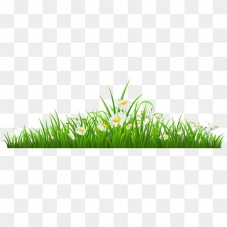 Grass Png Ground Png - Transparent Grass Clipart