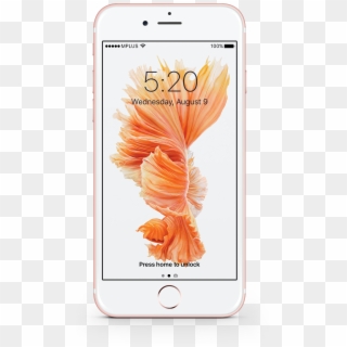 Iphone 6s Lcd Replacement Iphone Plus Battery Replacement - Iphone 7 Hd Original Wallpaper Fish Clipart