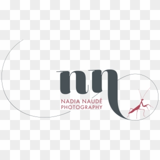 Nadia Naudé Photography - Nn Photography Logo Png Clipart