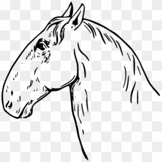 Horse Head To Use Resource Hd Image - Horse Headed Clipart