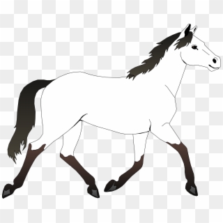 Graphic Transparent Stock Horse Head Clipart - Mustang Horse Coloring Page - Png Download