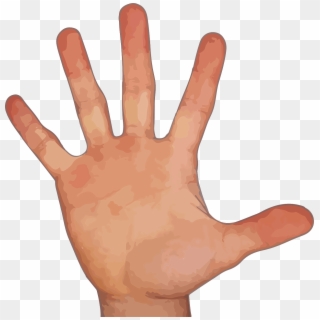 Finger - Hand With 5 Fingers Clipart