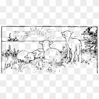 The Lambs Are In The Sunrise - Morning Clip Art Black And White - Png Download