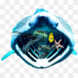 #scseacreatures #shark #anglerfish #jellyfish #starfish - 10 Ugly Sea Creatures Clipart