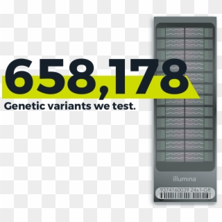 Dna Analysis - Multimedia Software Clipart