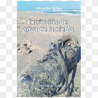 Extracción Del Agua De La Niebla Eduardo Mileo Ediciones - Marine Iguana Clipart