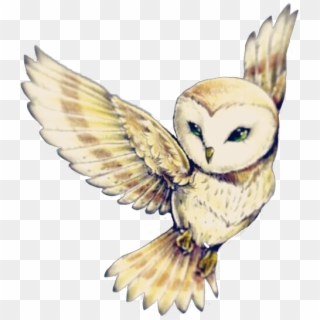 Cute Owl Flying~ - Owl Tattoo Designs Clipart