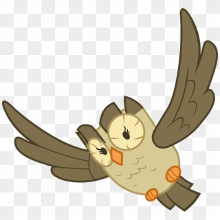 Cooltomorrowkid, Bird, Flying, Owl, Owlowiscious, Pet, - Cartoon Clipart