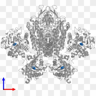 <div Class='caption-body'>pdb Entry 1suv Contains 4 - Opal Clipart