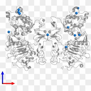 <div Class='caption-body'>pdb Entry 1mox Contains 11 - Cartoon Clipart
