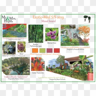 Exotic Plant Plan - Passion Flower Clipart