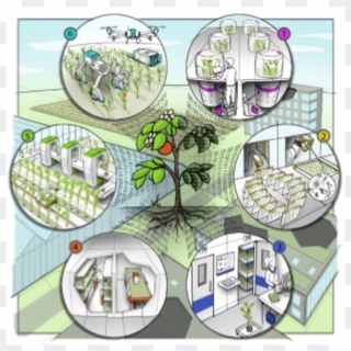 Netherlands Plant Eco-phenotyping Centre - Cartoon Clipart